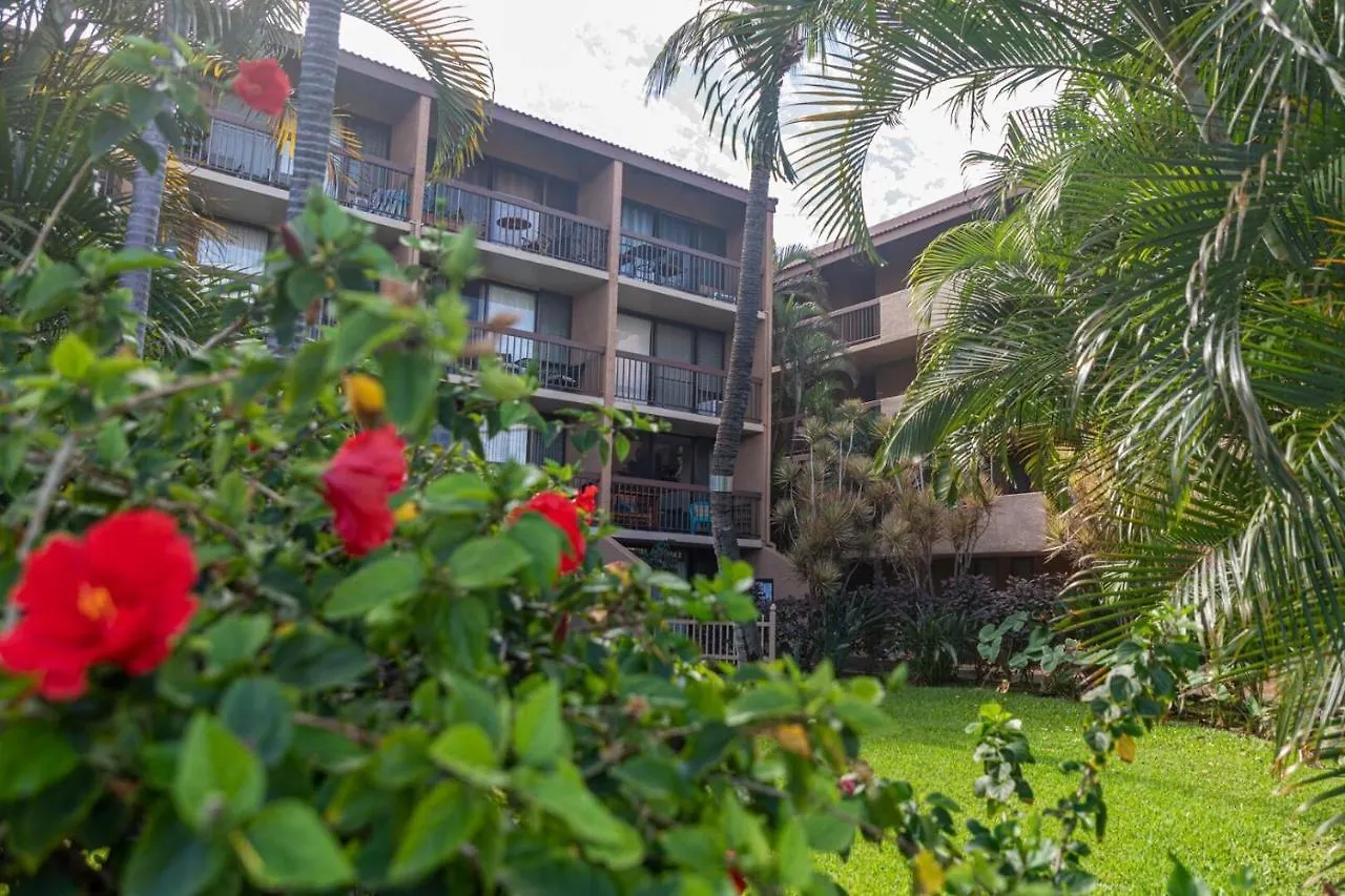 Maui Vista 2413 Villa Kihei Semesterbostad